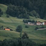 pexels-njeromin-12887393