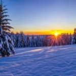winter
